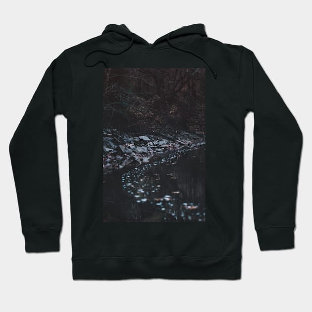 At the Edge of the Lake - Landscape Detail Photography Hoodie by themarementality